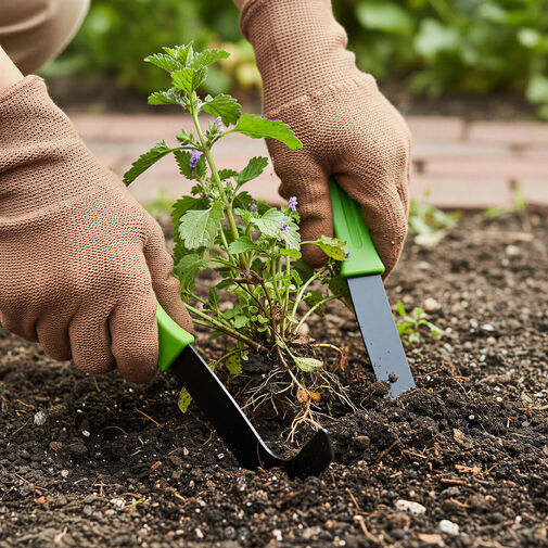 11302 • Sada záhradných nožov na odstraňovanie buriny – 20 cm – 2 ks / balenie