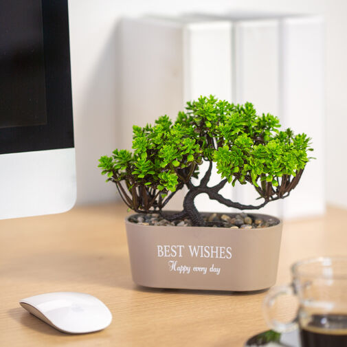 11825 • Umelá rastlina - bonsai - 19 x 13 cm - 4 druhy
