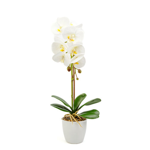 11901B • Umelá rastlina dekorácia - orchidea - biela - 48 cm