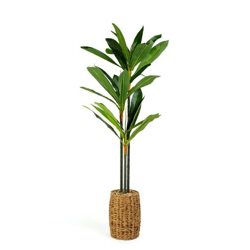 11906 • Umelá rastlina dekorácia - Dracaena Fragrans - 1,1-1,2 m