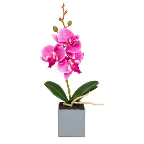 11914 • Umelá rastlinná dekorácia - orchidea - 3 druhy - 29,5 cm