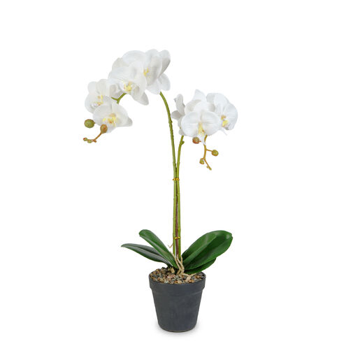 11918 • Umelá rastlinná dekorácia - orchidea - 2 druhy - 54 cm