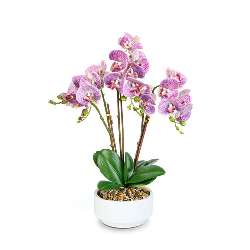 11919 • Umelá rastlinná dekorácia - orchidea - 5 druhov - 56 cm