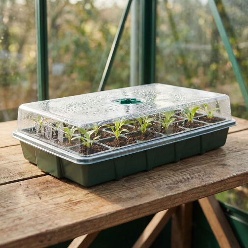 11982 • Sada na pestovanie sadeníc s vekom - 37 x 23 x 9 cm