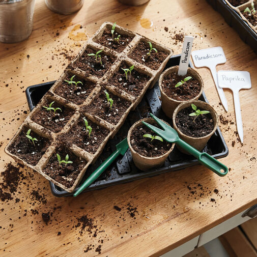 11989 • Sada na pestovanie sadeníc - 66 ks - 35,4 x 23,7 x 6,1 cm