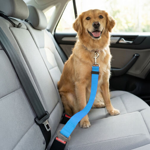 55701 • Autopopruh k bezpečnostnému pásu – 45–70 cm, 3 farby