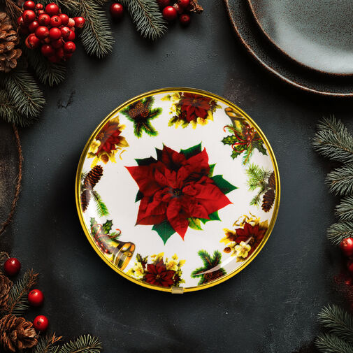 59717B • Vianočný tanier – plastový – vianočná hviezda – 22 cm