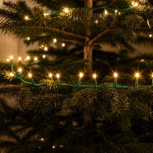 59766W • Svetelná reťaz – 5 m – teplá biela – 100 LED – 100–240 V – 6 W – zelený kábel